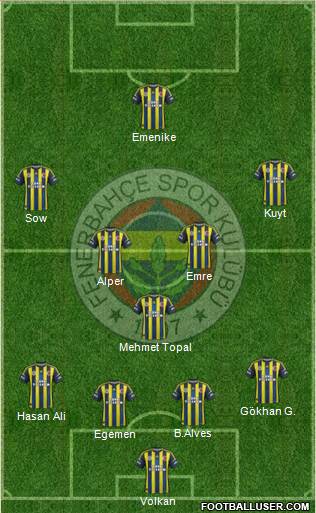 Fenerbahçe SK Formation 2013