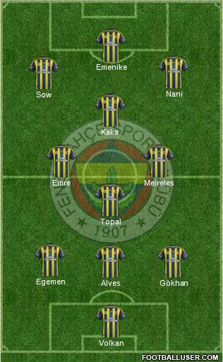 Fenerbahçe SK Formation 2013