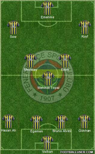 Fenerbahçe SK Formation 2013