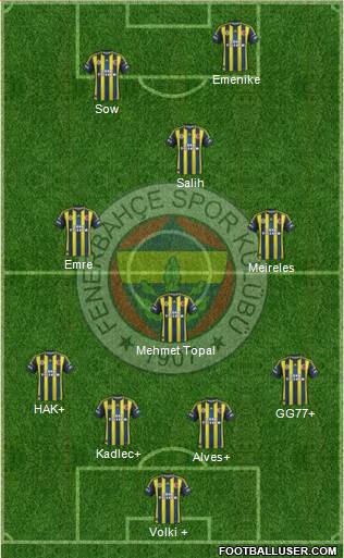 Fenerbahçe SK Formation 2013