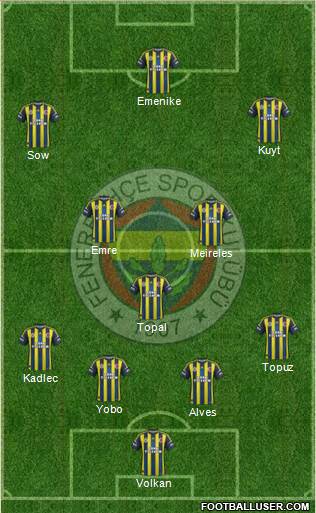 Fenerbahçe SK Formation 2013