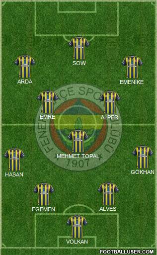 Fenerbahçe SK Formation 2013