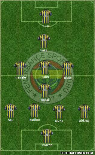 Fenerbahçe SK Formation 2013