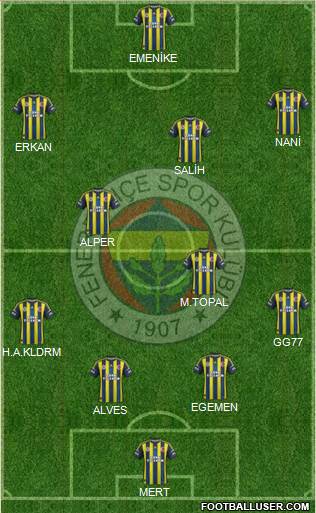 Fenerbahçe SK Formation 2013