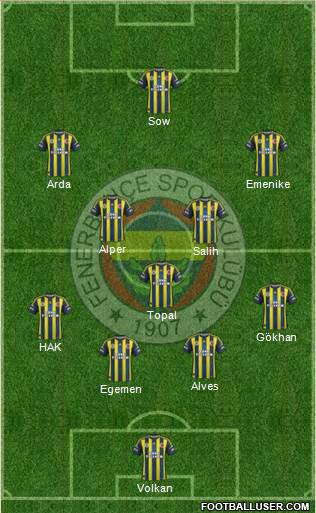 Fenerbahçe SK Formation 2013