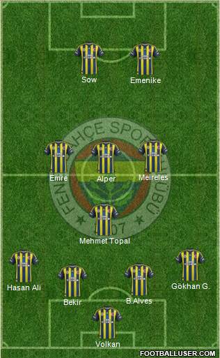 Fenerbahçe SK Formation 2013