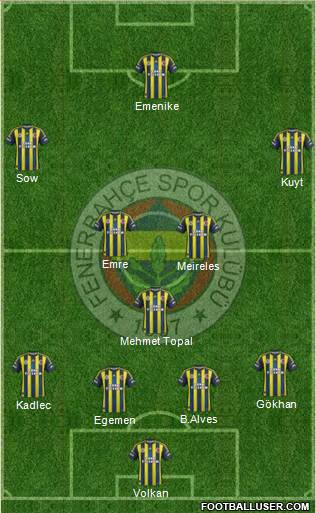 Fenerbahçe SK Formation 2013