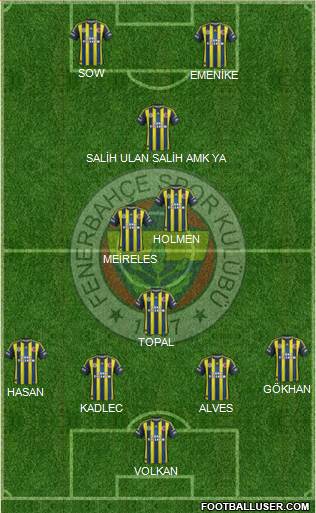 Fenerbahçe SK Formation 2013
