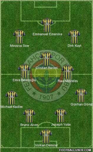 Fenerbahçe SK Formation 2013