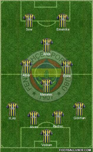 Fenerbahçe SK Formation 2013