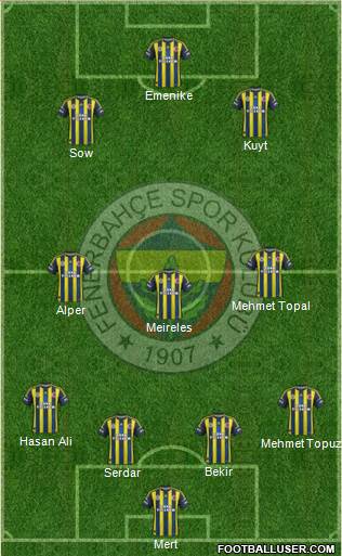Fenerbahçe SK Formation 2013