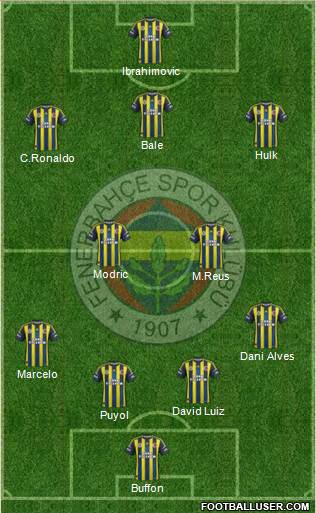 Fenerbahçe SK Formation 2013