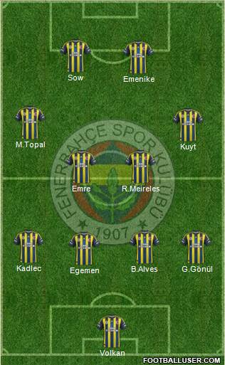 Fenerbahçe SK Formation 2013