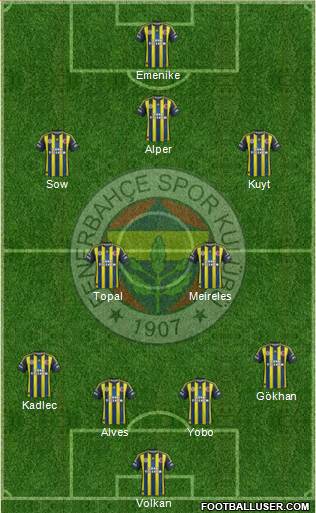 Fenerbahçe SK Formation 2013