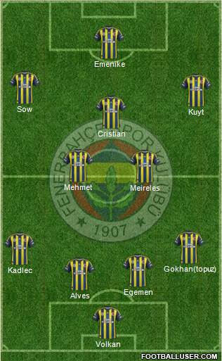 Fenerbahçe SK Formation 2013
