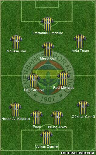 Fenerbahçe SK Formation 2013