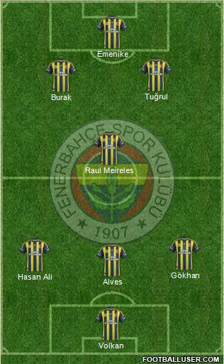 Fenerbahçe SK Formation 2013
