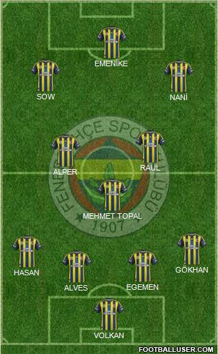 Fenerbahçe SK Formation 2013