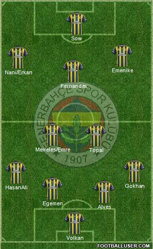 Fenerbahçe SK Formation 2013