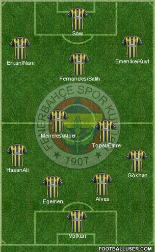 Fenerbahçe SK Formation 2013