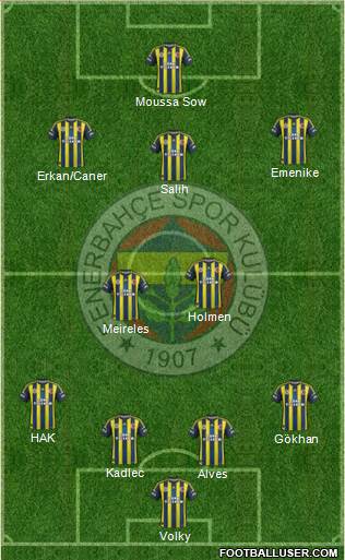 Fenerbahçe SK Formation 2013