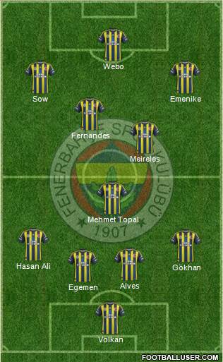 Fenerbahçe SK Formation 2013