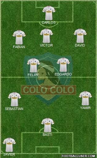 CSD Colo Colo Formation 2013
