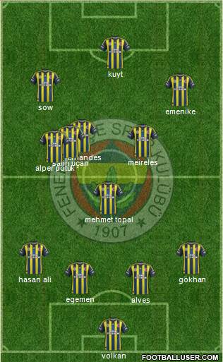 Fenerbahçe SK Formation 2013