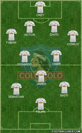 CSD Colo Colo Formation 2013