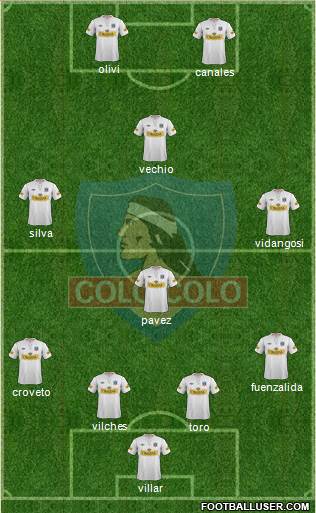 CSD Colo Colo Formation 2013