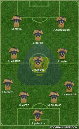 Club de Fútbol Universidad Formation 2013