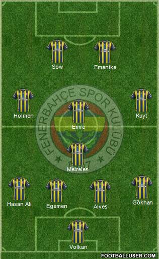 Fenerbahçe SK Formation 2013