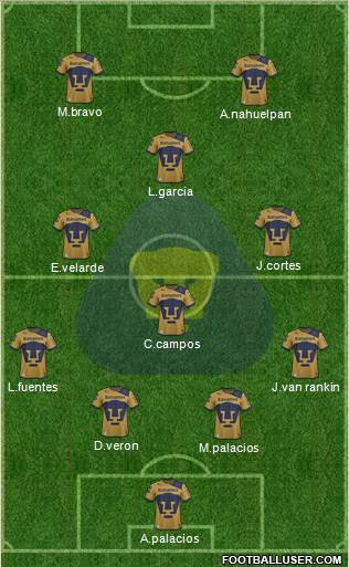 Club de Fútbol Universidad Formation 2013