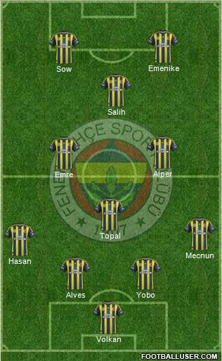 Fenerbahçe SK Formation 2013