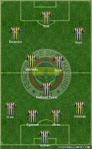 Fenerbahçe SK Formation 2013