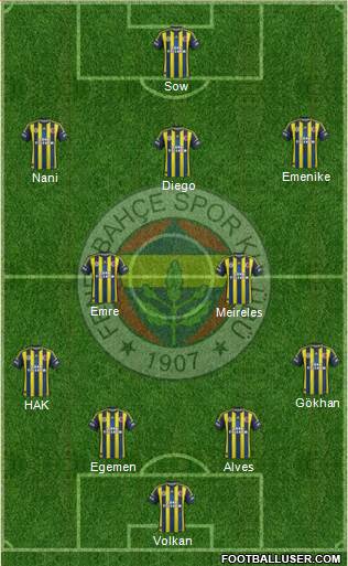 Fenerbahçe SK Formation 2013