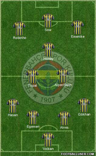 Fenerbahçe SK Formation 2013