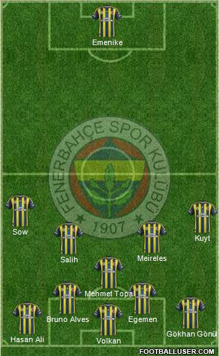 Fenerbahçe SK Formation 2013