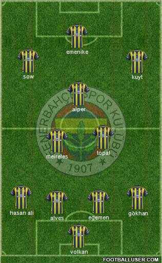 Fenerbahçe SK Formation 2013