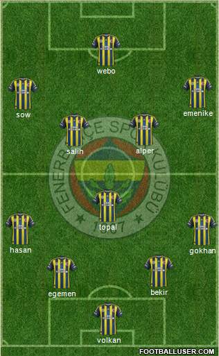 Fenerbahçe SK Formation 2013