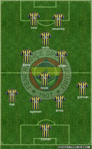 Fenerbahçe SK Formation 2013