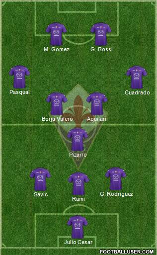 Fiorentina Formation 2013