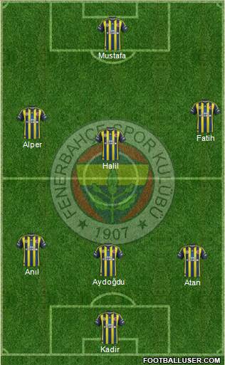 Fenerbahçe SK Formation 2013