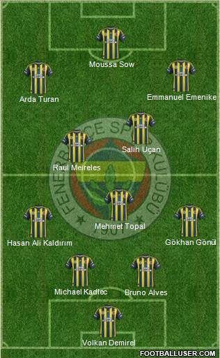 Fenerbahçe SK Formation 2013