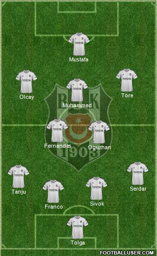 Besiktas JK Formation 2013