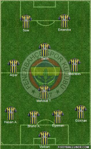 Fenerbahçe SK Formation 2013