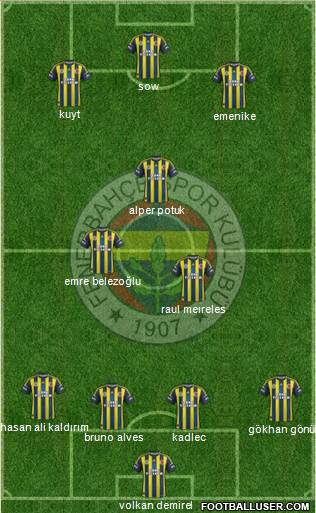 Fenerbahçe SK Formation 2013