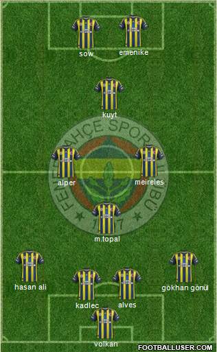 Fenerbahçe SK Formation 2013