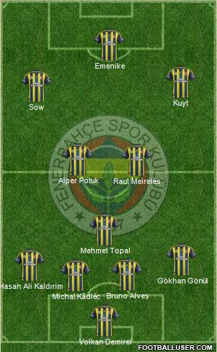 Fenerbahçe SK Formation 2013