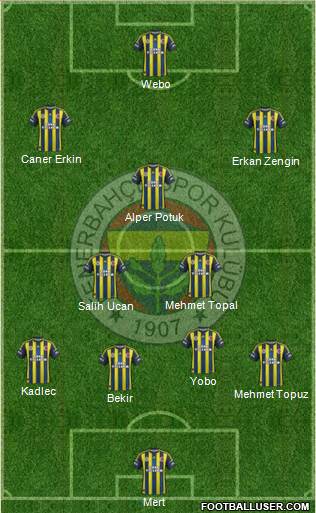 Fenerbahçe SK Formation 2013